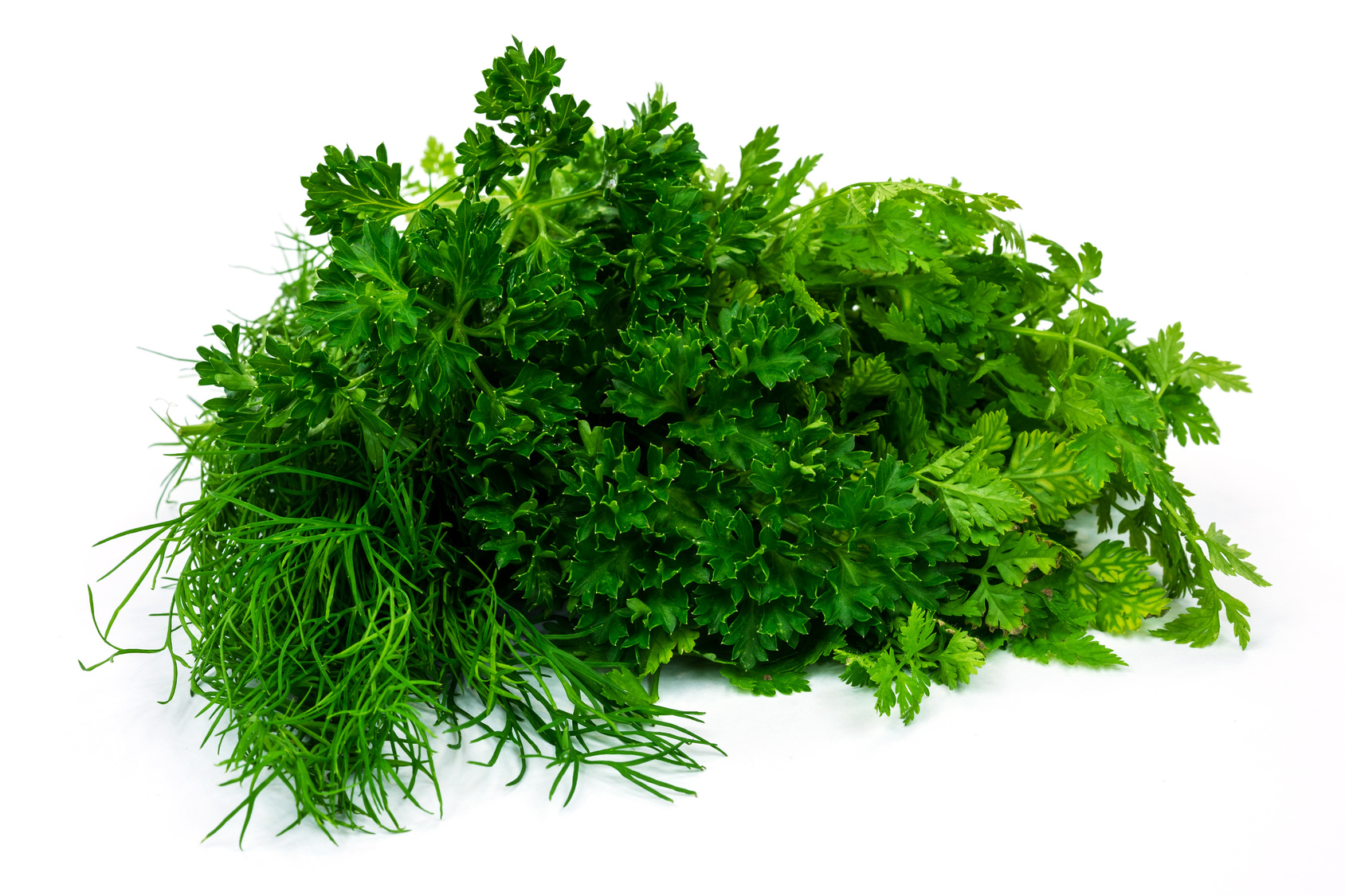 Fotolia_92193126_M