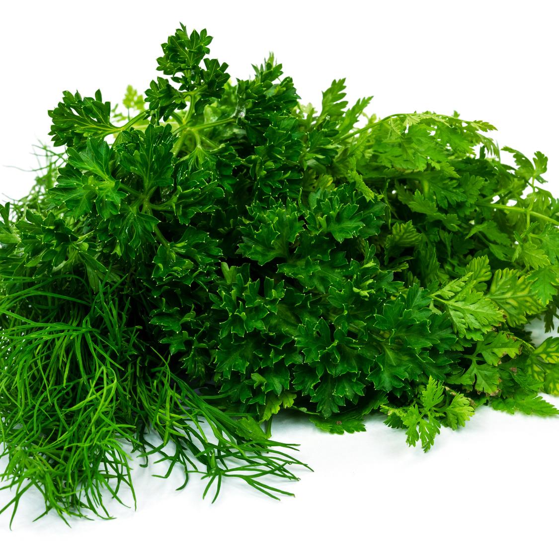 Fotolia_92193126_M