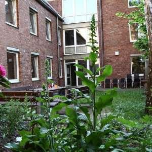 1315_17_TvA-Garten